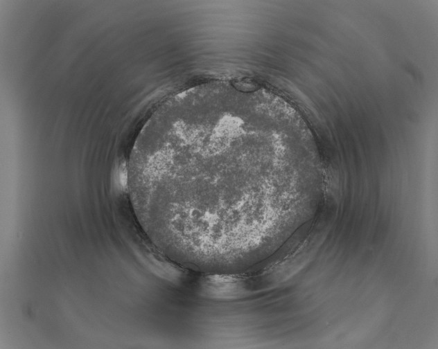 X0000111220095200907301235