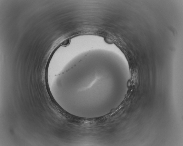 X0000111220099200907301234