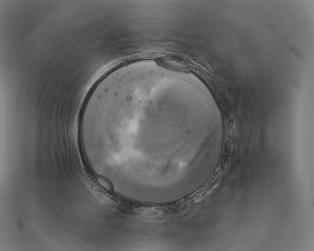X0000111220100200907301234