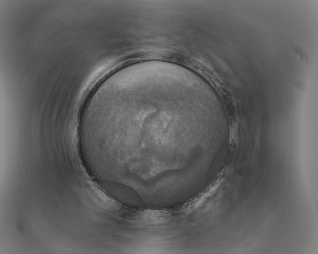 X0000111220101200907301234