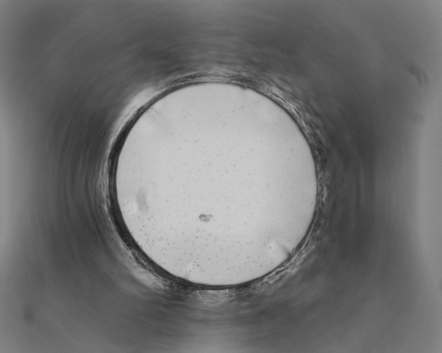 X0000111220102200907301234