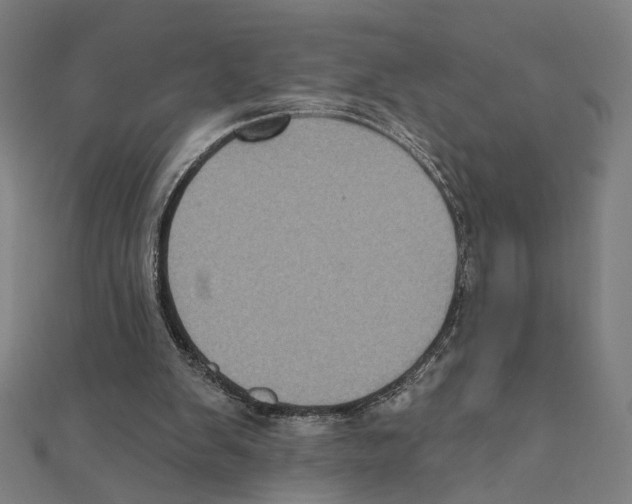 X0000111220103200907301234