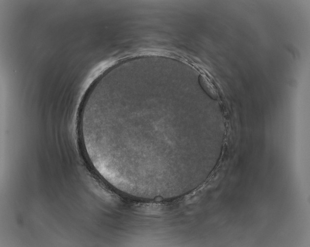 X0000111220104200907301234