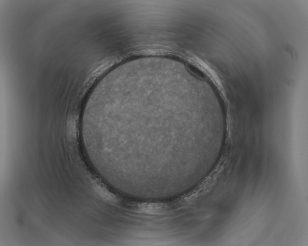 X0000111220105200907301234