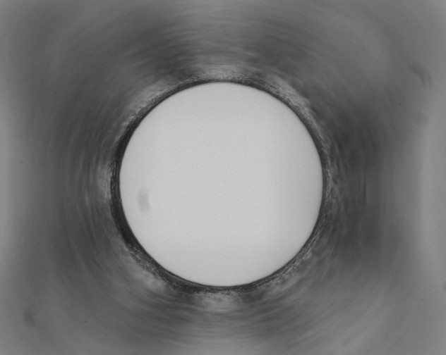 X0000111220106200907301234