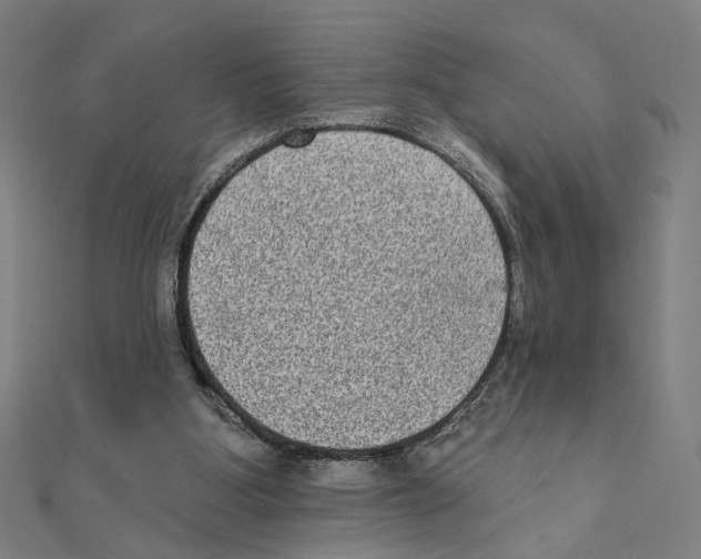 X0000111220107200907301234