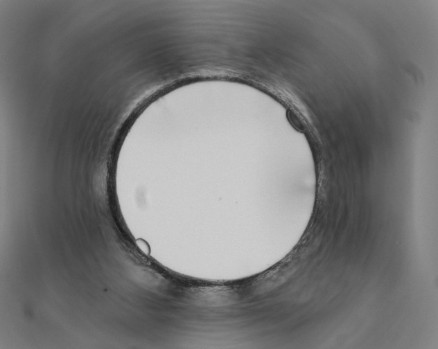 X0000111220108200907301234