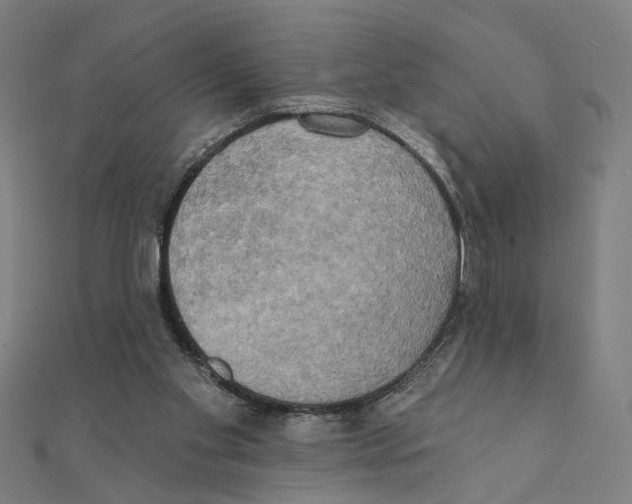 X0000111220109200907301234