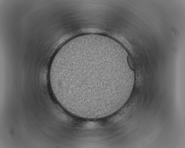 X0000111220111200907301234