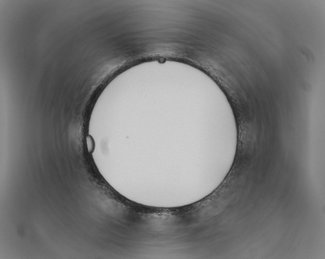 X0000111220112200907301234