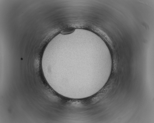 X0000111220113200907301234