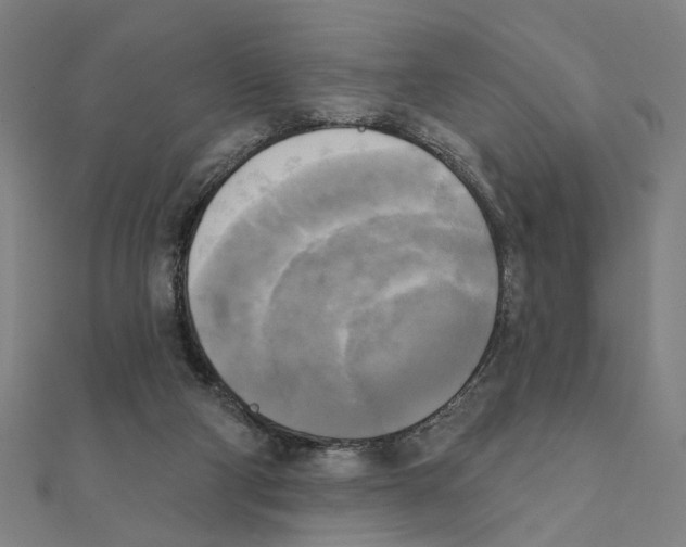 X0000111220114200907301234