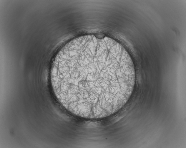 X0000111220115200907301234