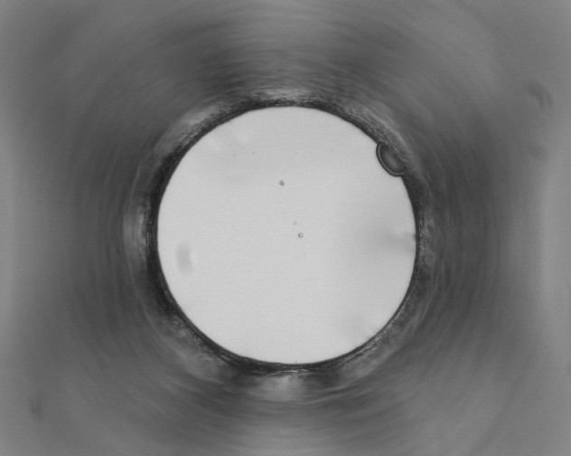 X0000111220116200907301234