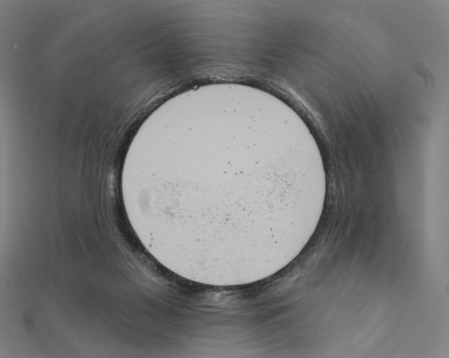 X0000111220117200907301234