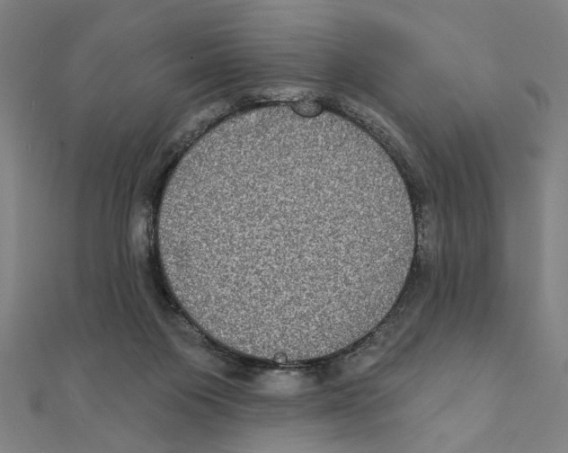 X0000111220119200907301234