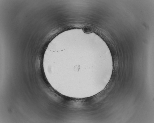 X0000111220120200907301234