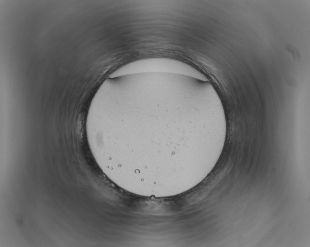 X0000111220121200907301234