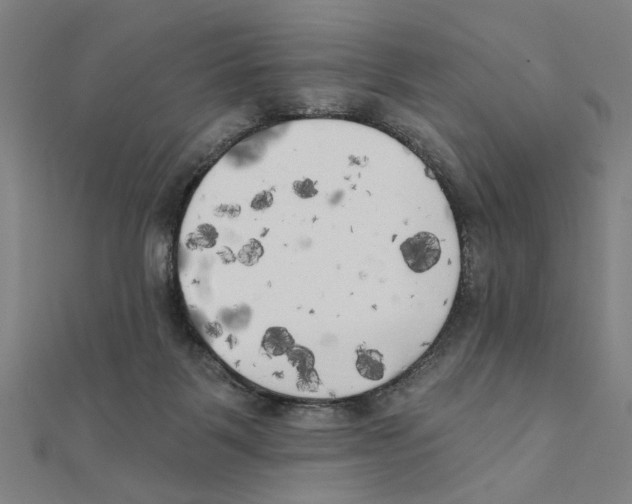 X0000111220123200907301234