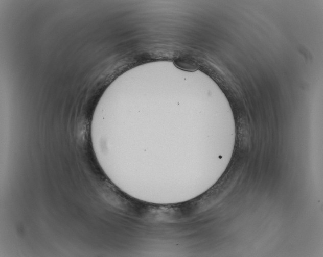 X0000111220125200907301234
