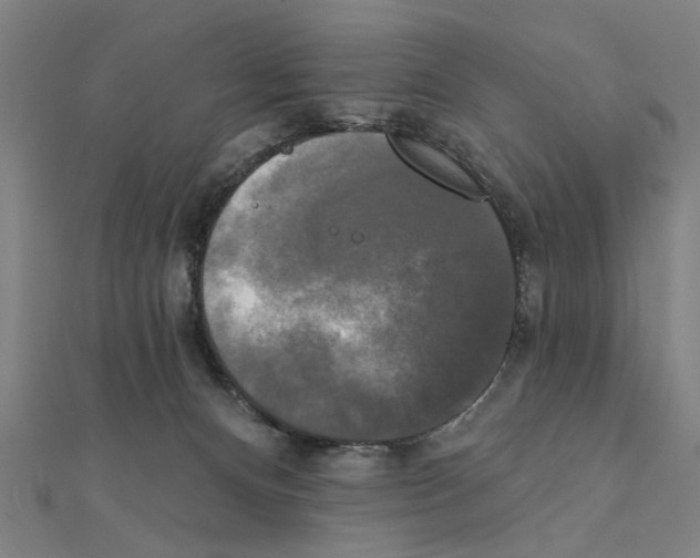 X0000111220128200907301234