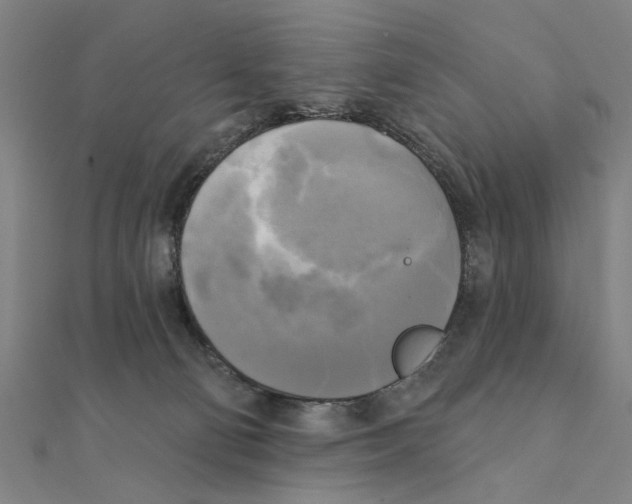 X0000111220130200907301234