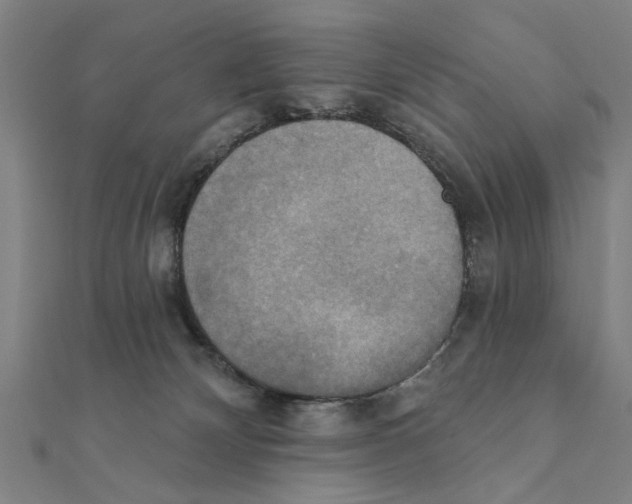 X0000111220132200907301234