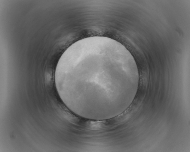 X0000111220134200907301233