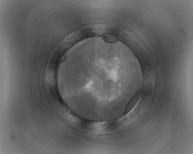 X0000111220136200907301233