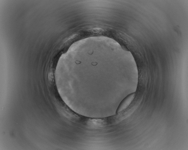 X0000111220137200907301233