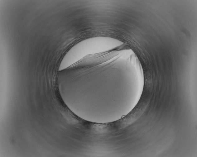 X0000111220139200907301233