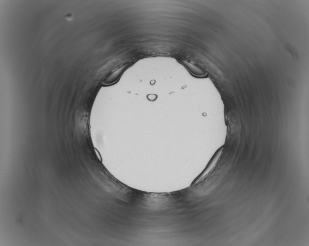 X0000111220141200907301233