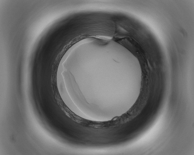 X0000111220143200907301233