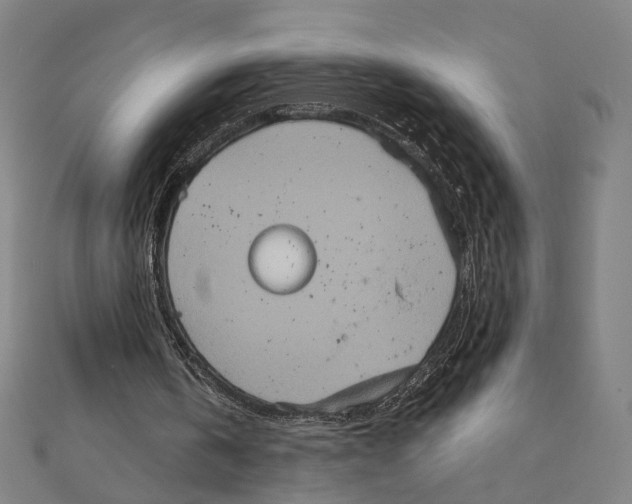 X0000111220146200907301233