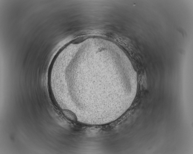 X0000111220148200907301233
