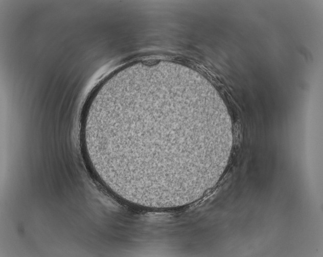 X0000111220150200907301233