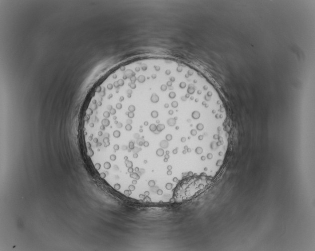 X0000111220151200907301233