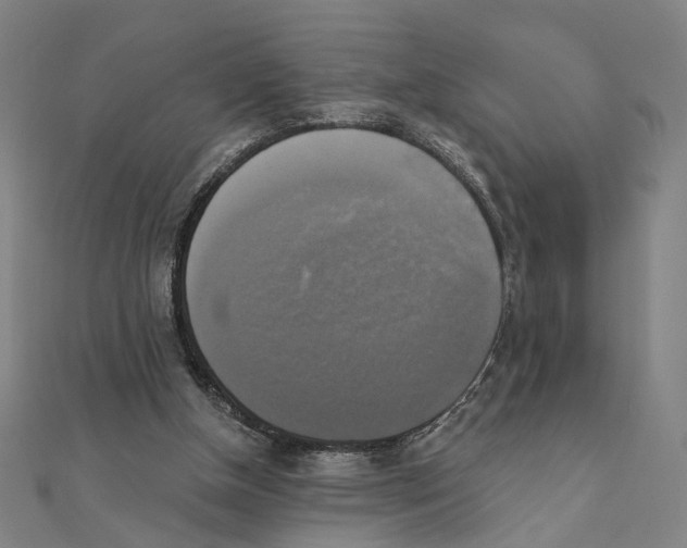 X0000111220154200907301233