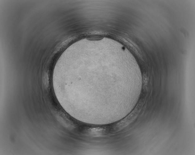 X0000111220158200907301233