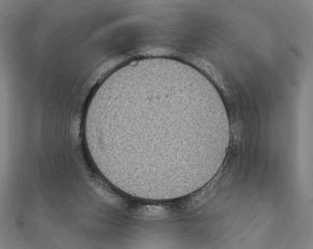 X0000111220159200907301233