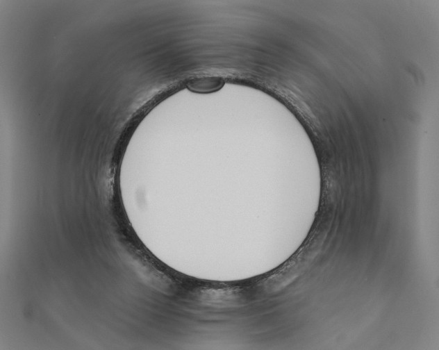 X0000111220160200907301233