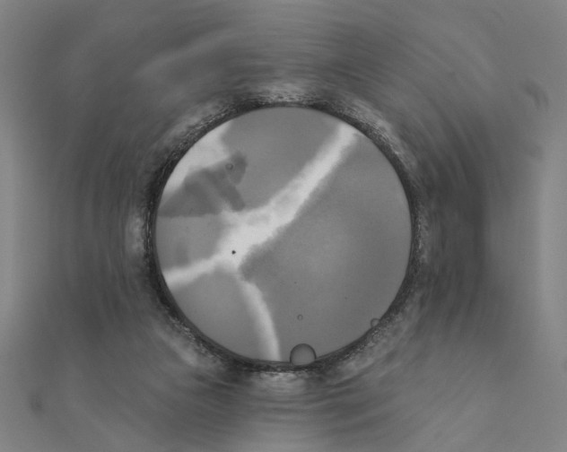 X0000111220161200907301233