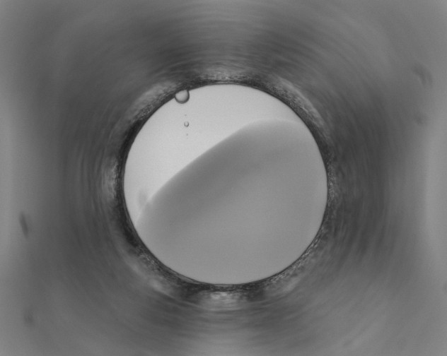 X0000111220163200907301233