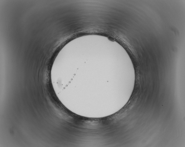 X0000111220164200907301233