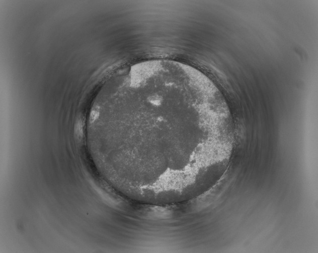X0000111220166200907301233