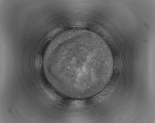X0000111220168200907301233