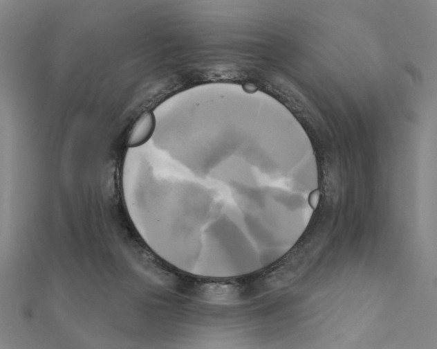 X0000111220169200907301233