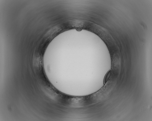 X0000111220172200907301233