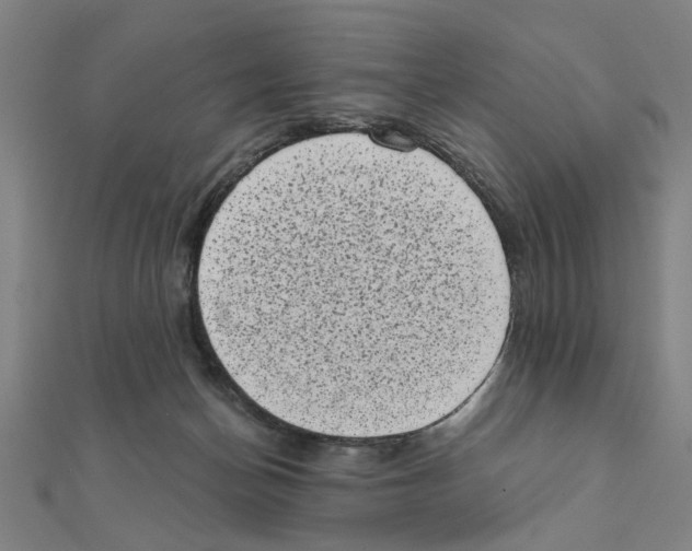 X0000111220174200907301233