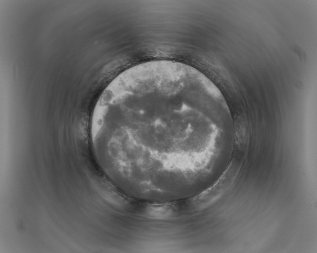 X0000111220175200907301233